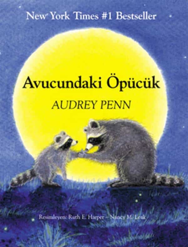 Avucundaki Öpücük - Kitabı Satın Al