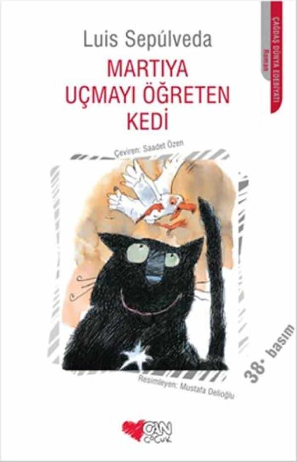 Martıya Uçmayı Öğreten Kedi - Kitabı Satın Al