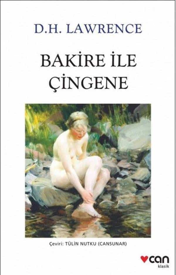 Bakire ile Çingene - Kitabı Satın Al